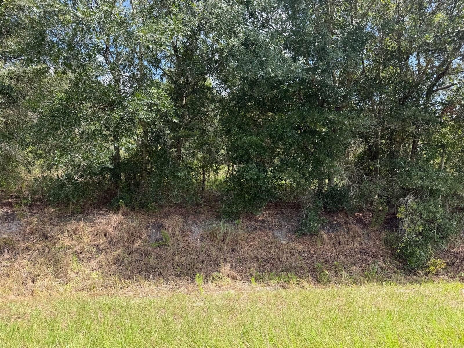 21971 Nw 260th St Property Photo 1