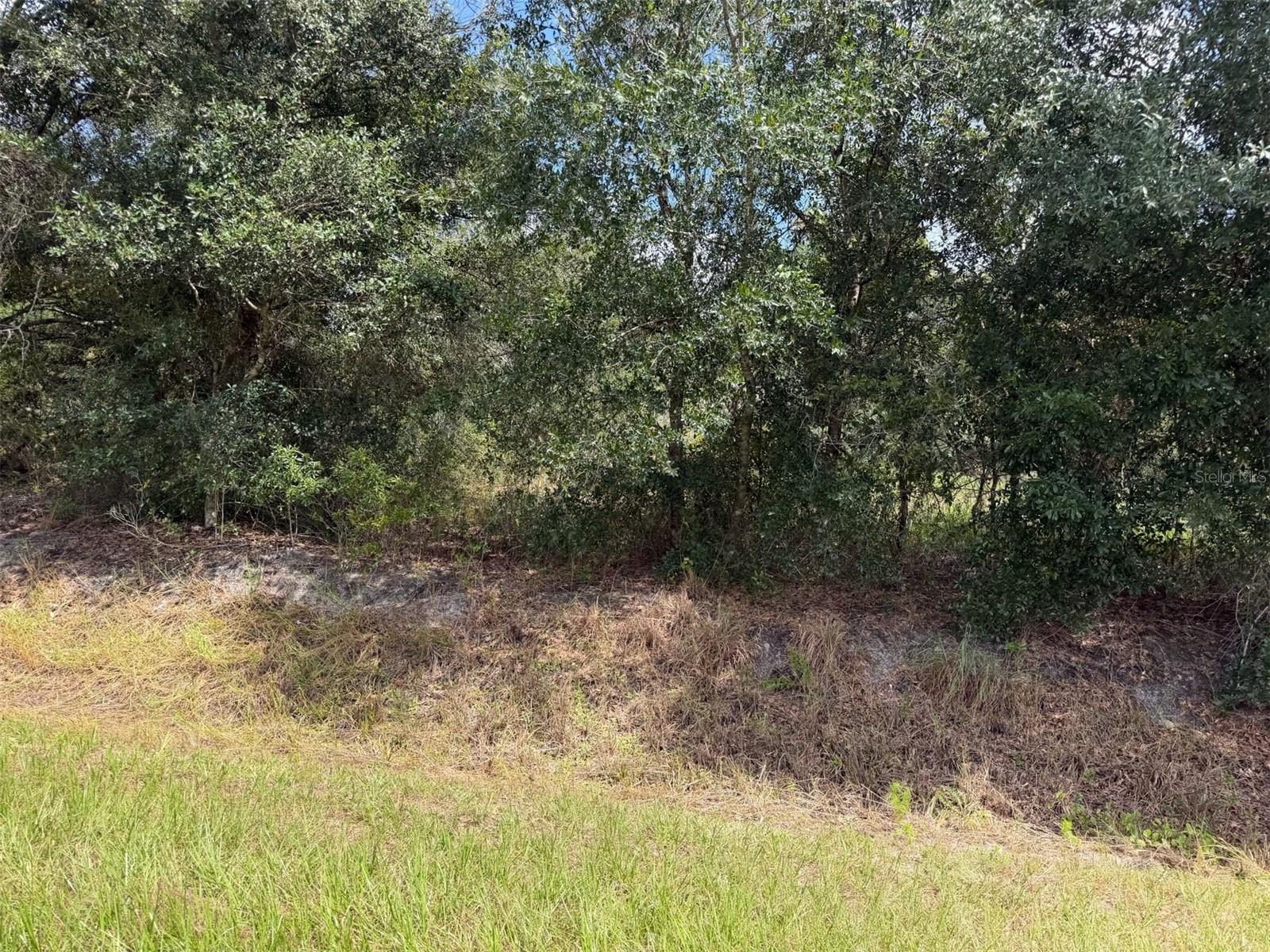 21971 Nw 260th St Property Photo 2