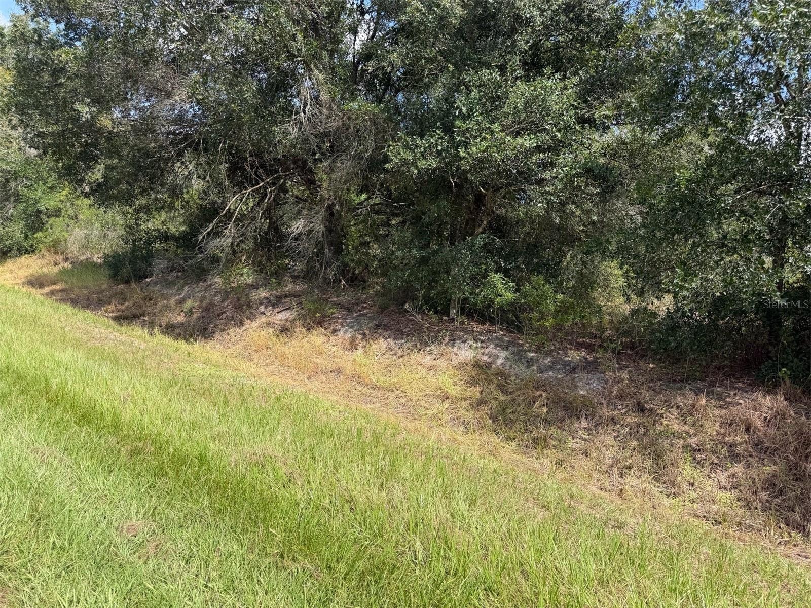 21971 Nw 260th St Property Photo 4