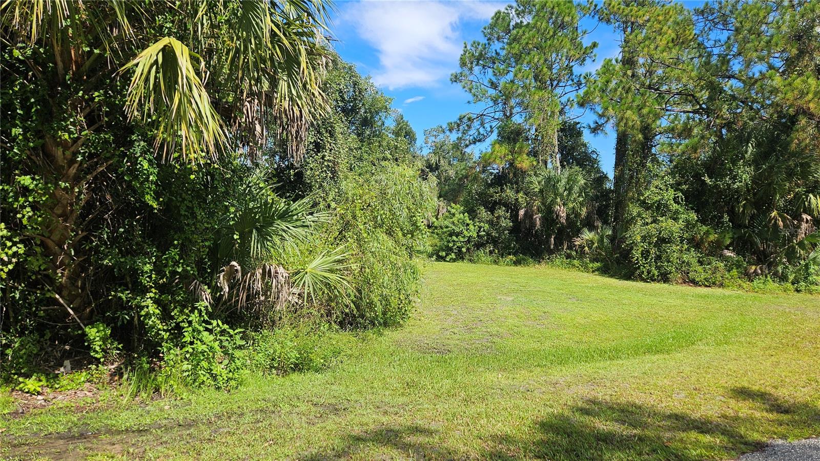 LONGWELL LOT #29 LN Property Photo 1