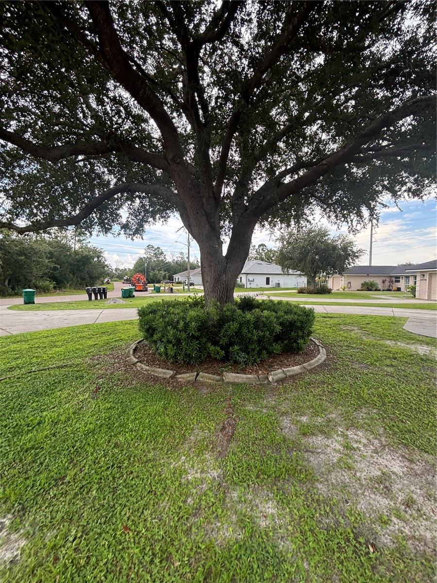 26033 Explorer Rd Property Photo 18