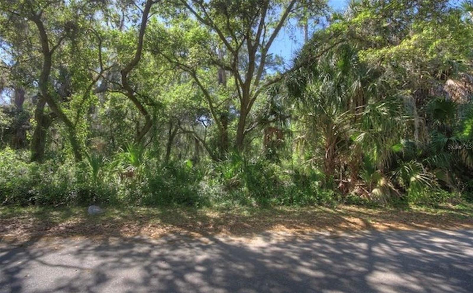 Lot 2 Sw 165th Ave Property Photo 5