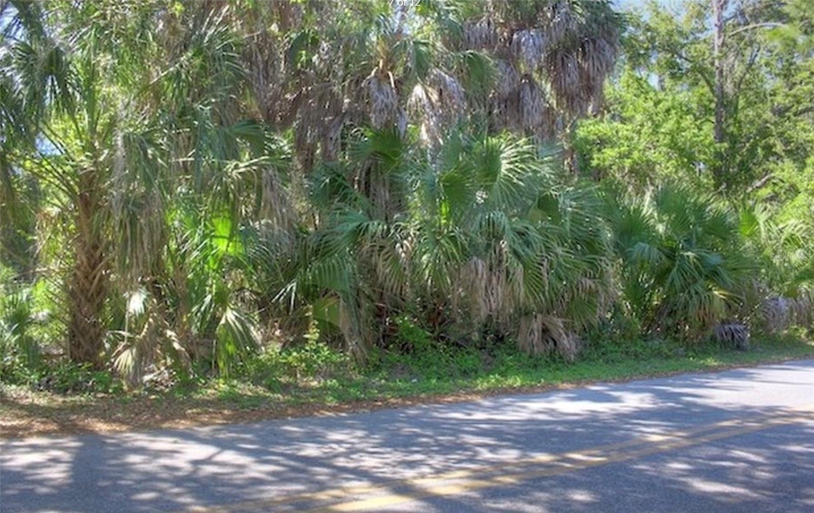 Lot 2 Sw 165th Ave Property Photo 6