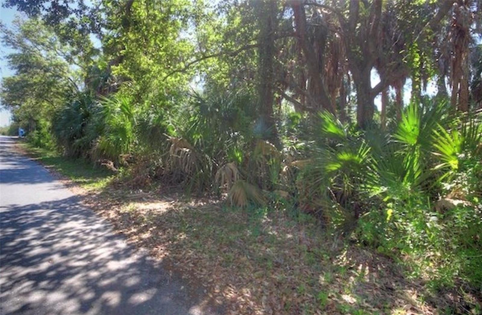 Lot 2 Sw 165th Ave Property Photo 7