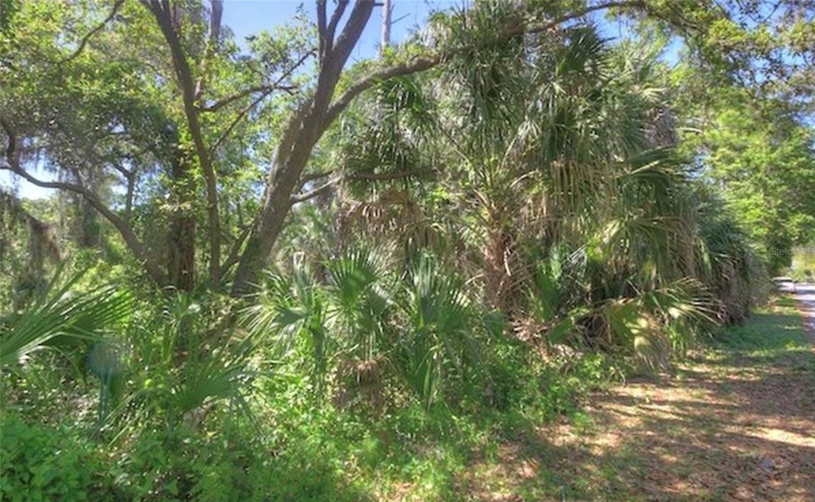 Lot 2 Sw 165th Ave Property Photo 8