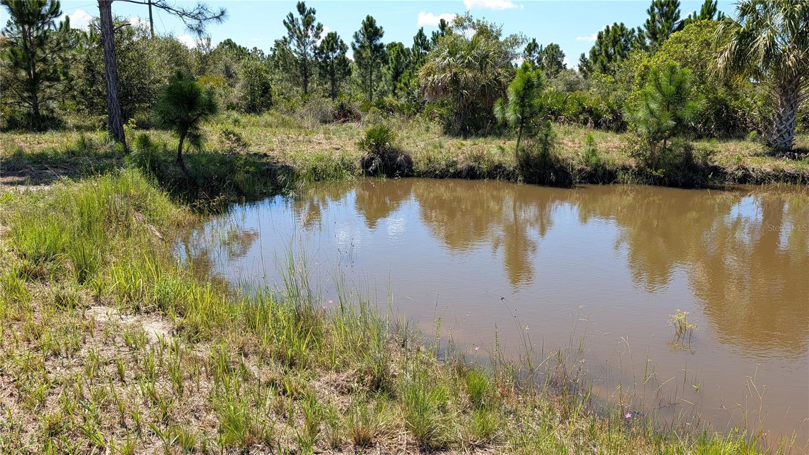 50078 Bermont Rd Property Photo 47
