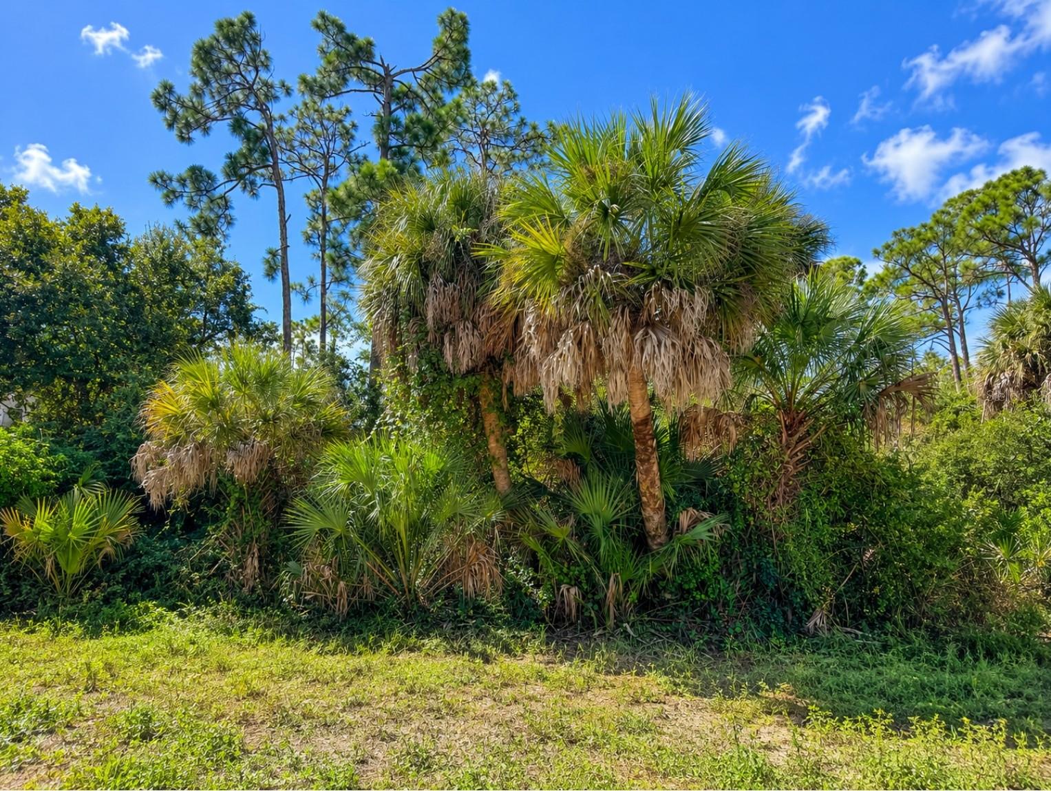 17129 NIXON AVE Property Photo 1