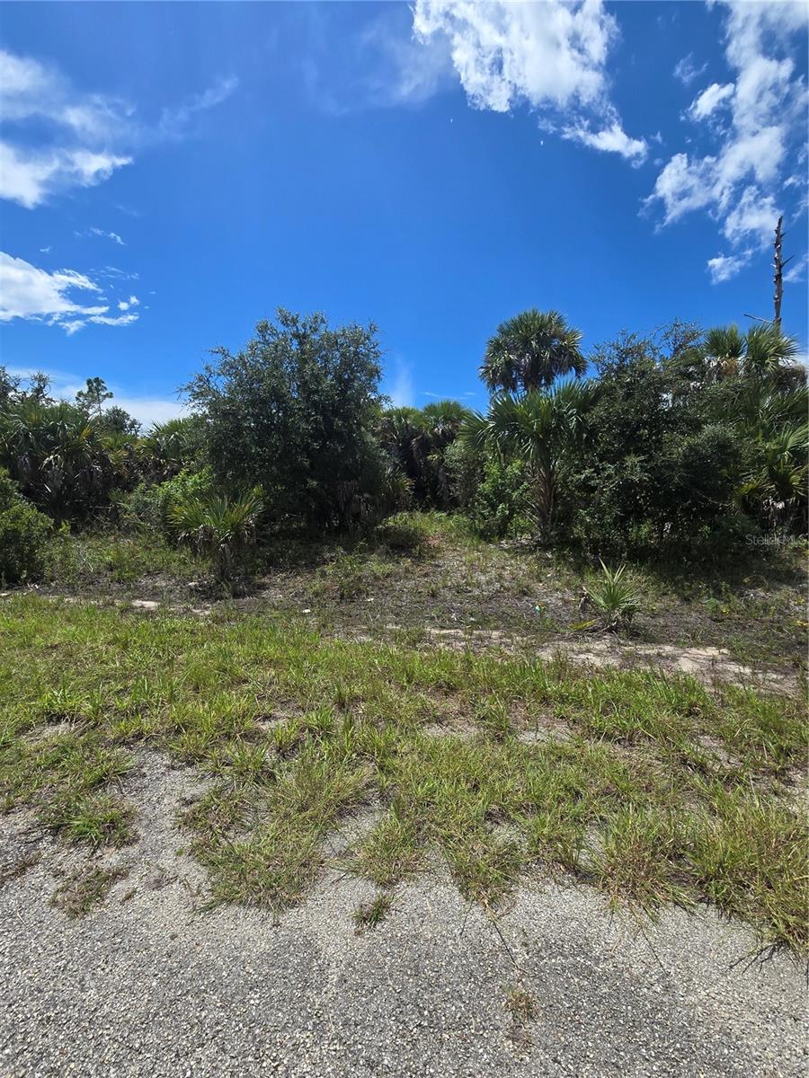 Plumleaf Ter Property Photo 1