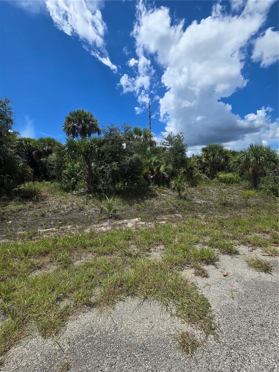 Plumleaf Ter Property Photo 2