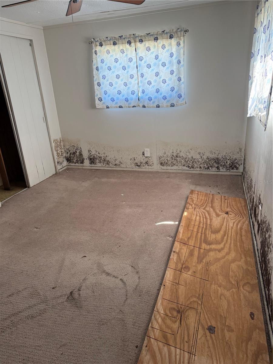 3453 Gainsboro Rd Property Photo 14