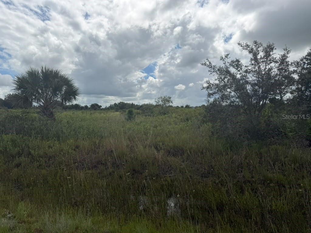 15364 NW 274TH ST Property Photo 1