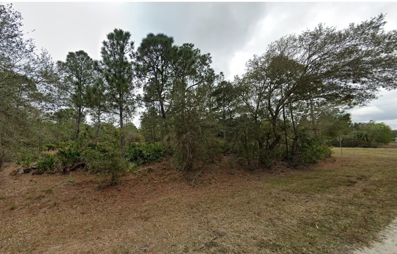 13170 San Benito Dr Property Photo 6
