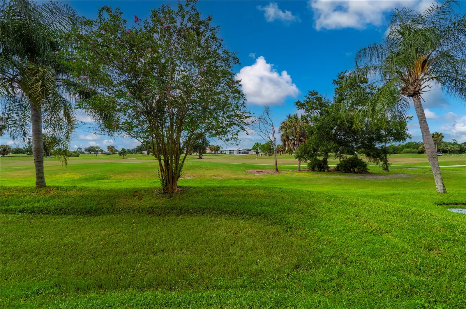 1295 Saxony Cir #2106 Property Photo 39