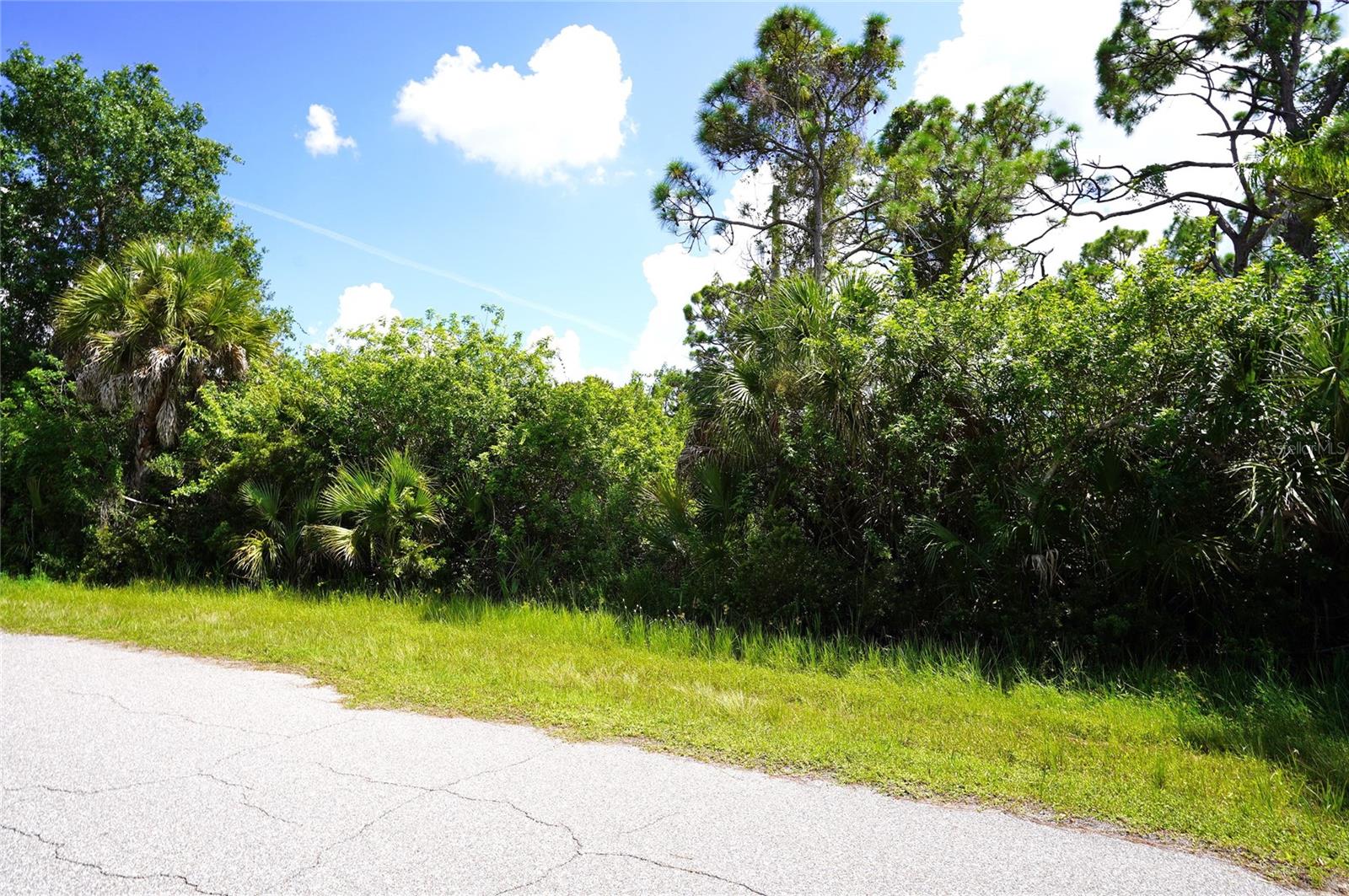 13265 Finkle Ave Property Photo 4