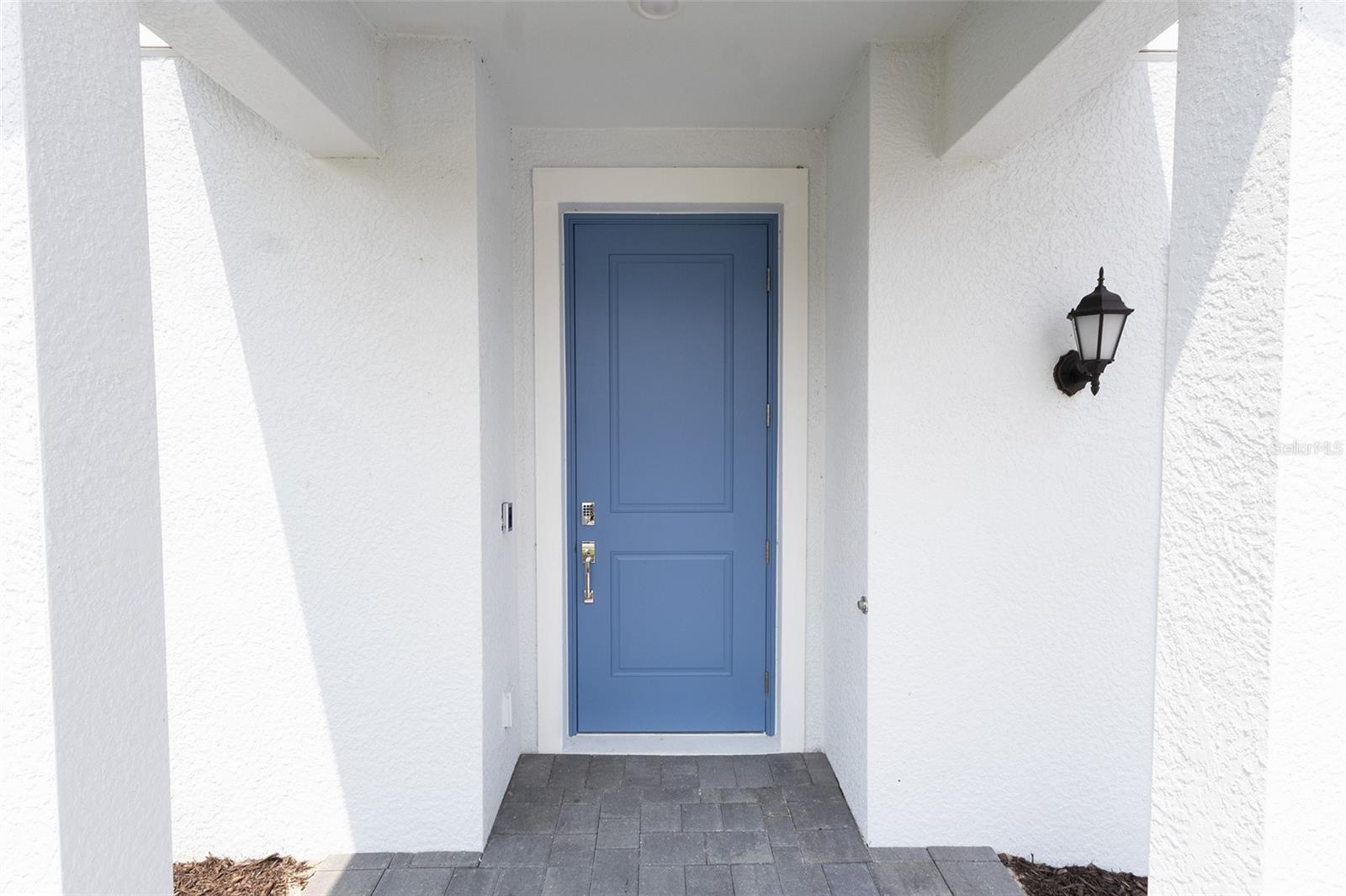 45084 Pipevine Cir Property Photo 4