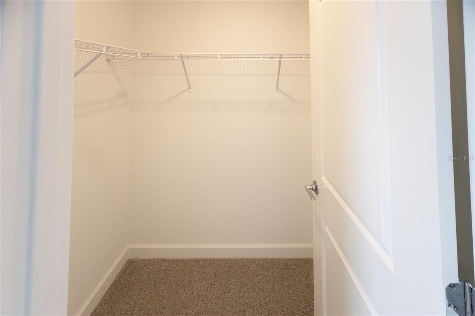 45084 Pipevine Cir Property Photo 26