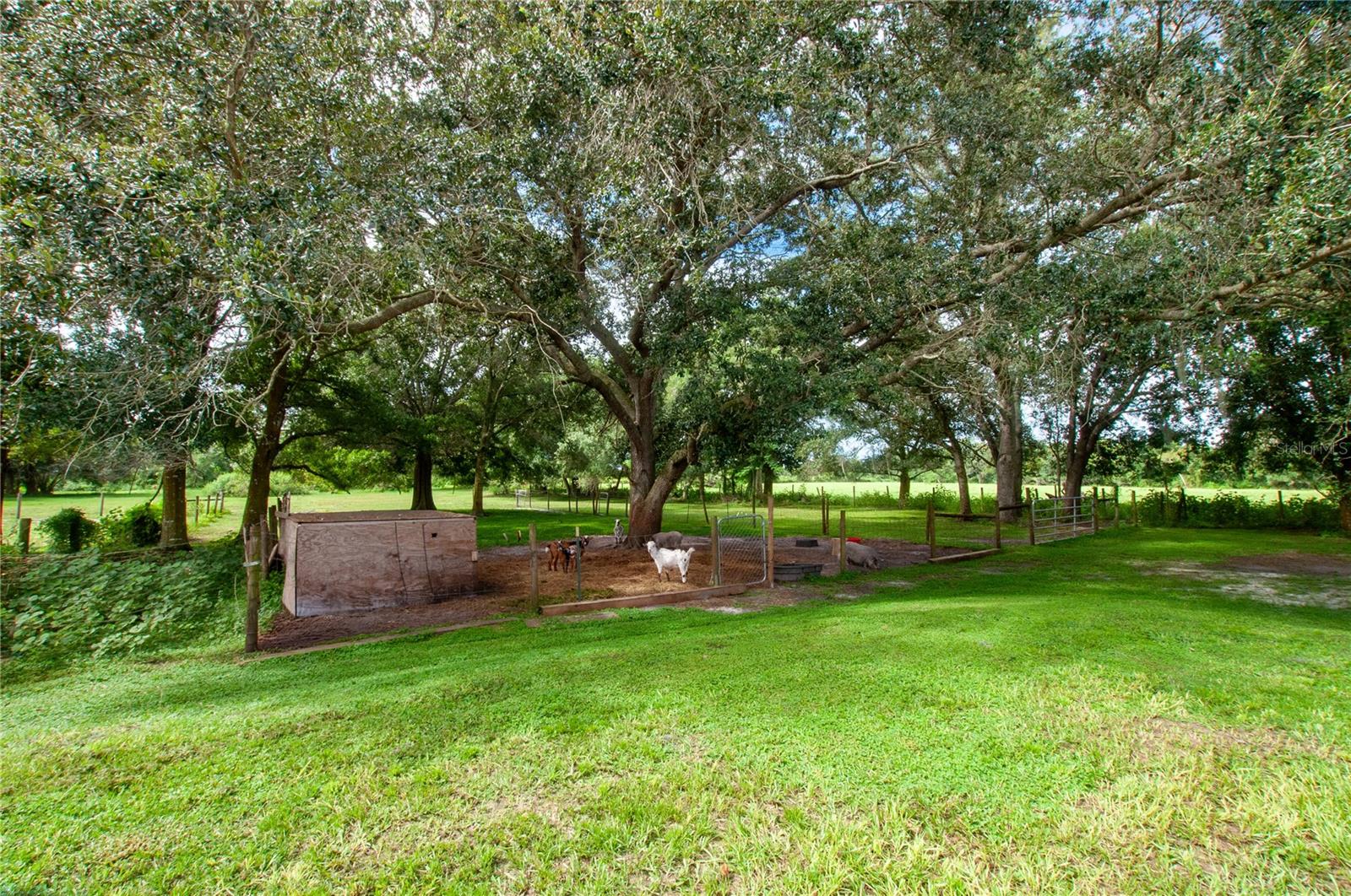 3375 Se Hidden Oak Dr Property Photo 7