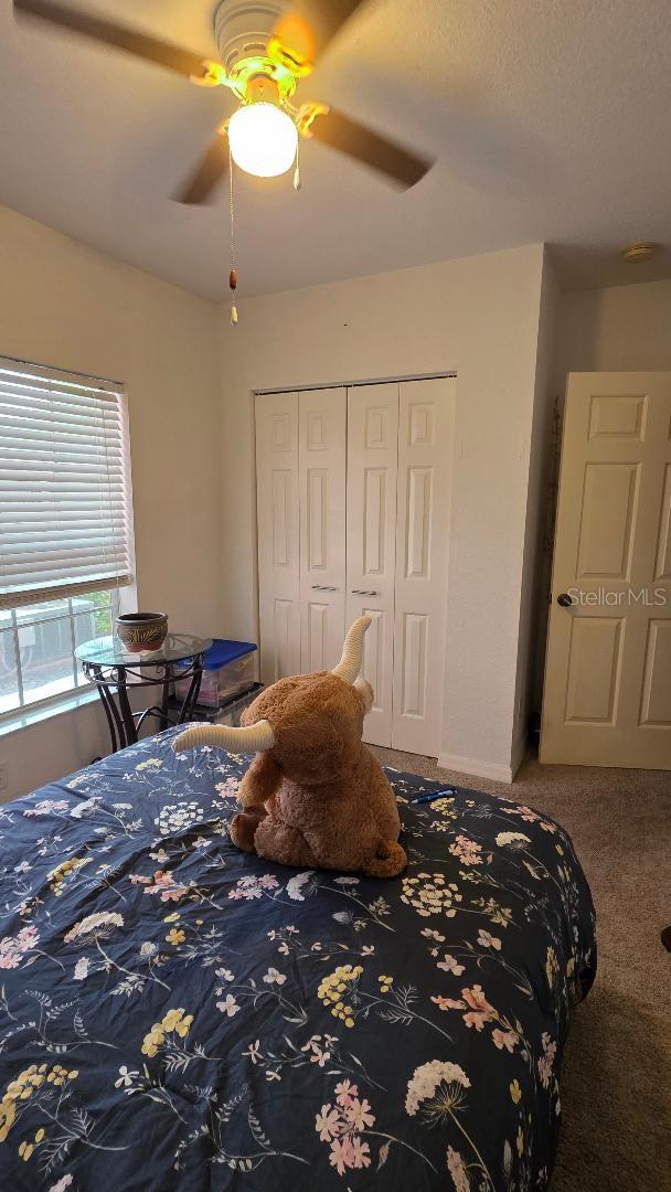 2061 Willow Hammock Cir #107 Property Photo 9