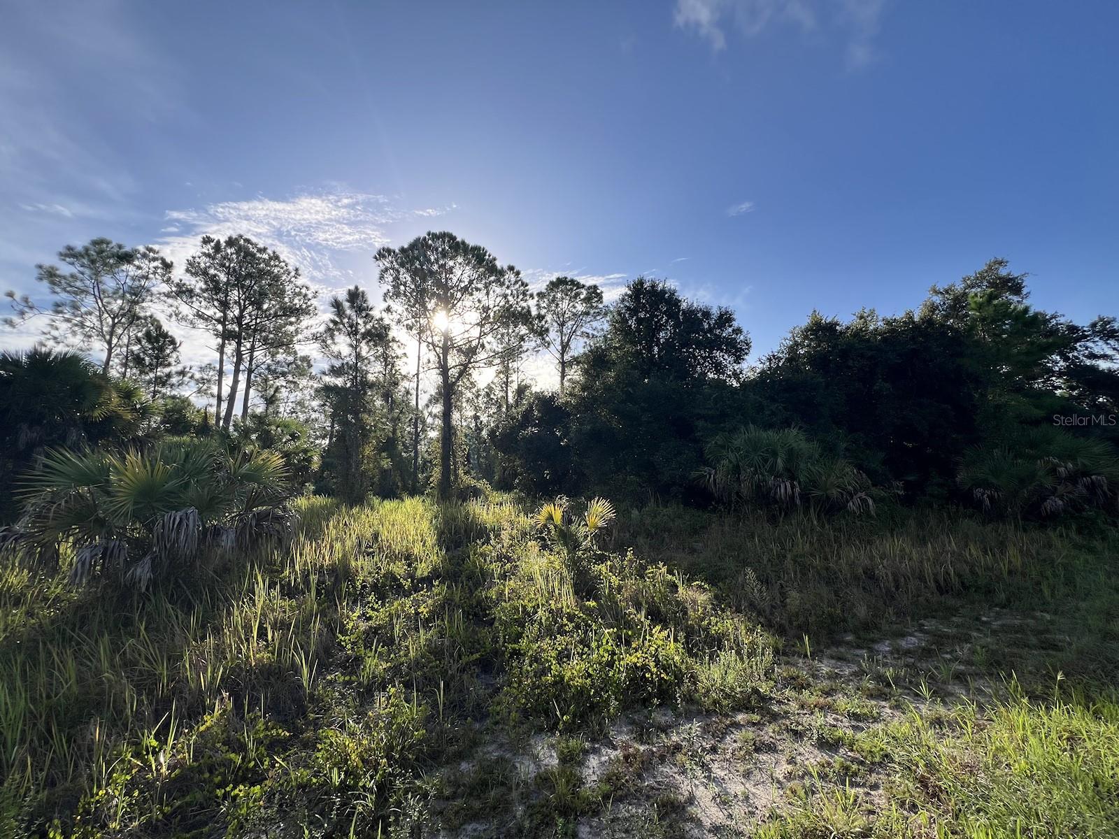 Hamerton Rd #lot 12 Property Photo 2