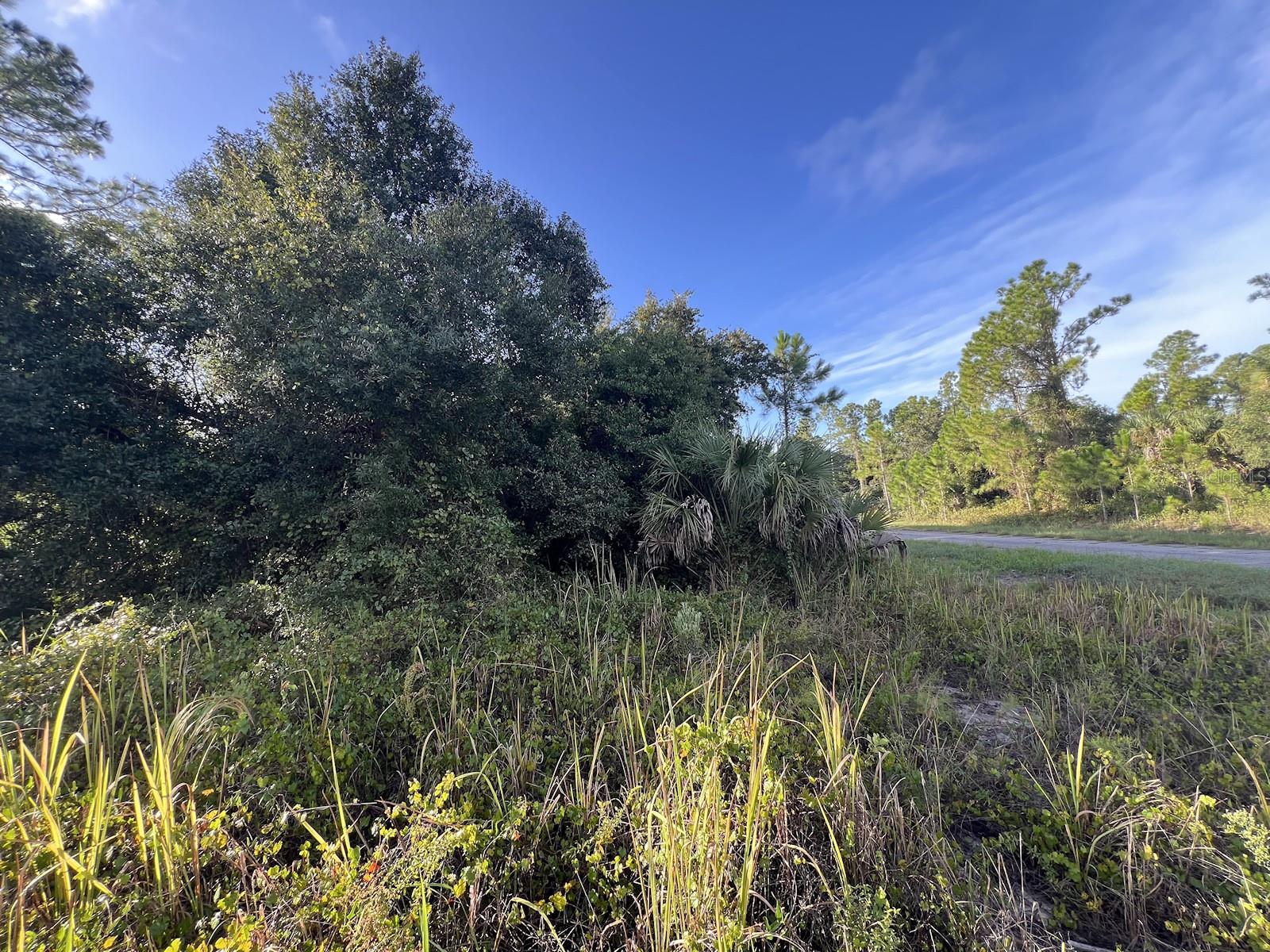 Hamerton Rd #lot 12 Property Photo 3
