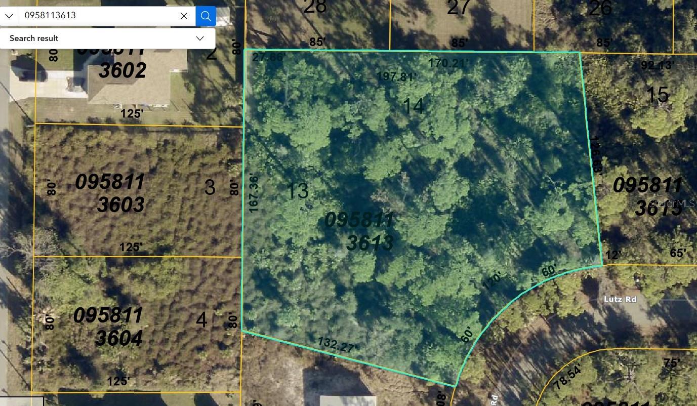 LUTZ RD Property Photo 1