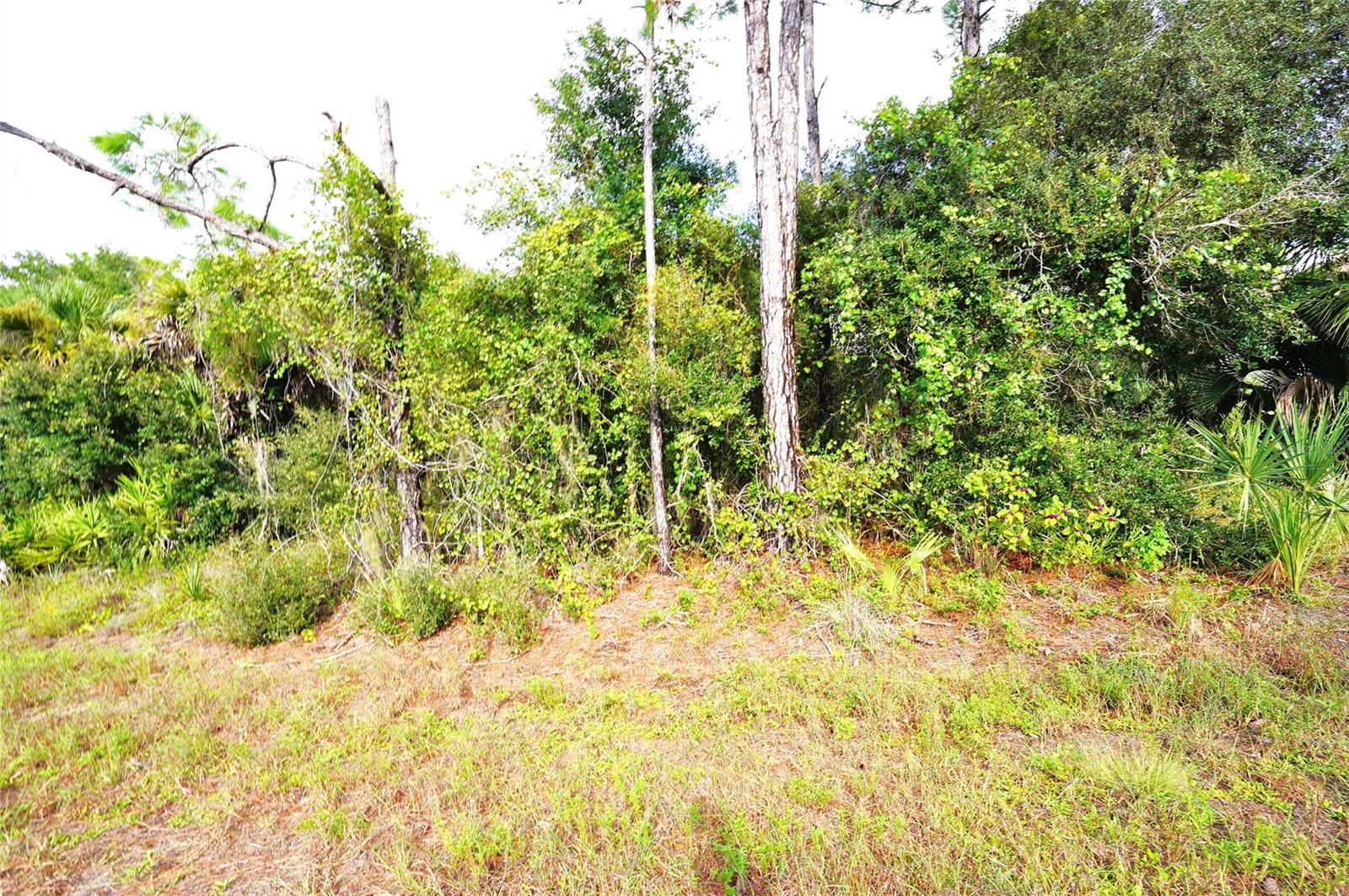 Baynes Rd Property Photo 2