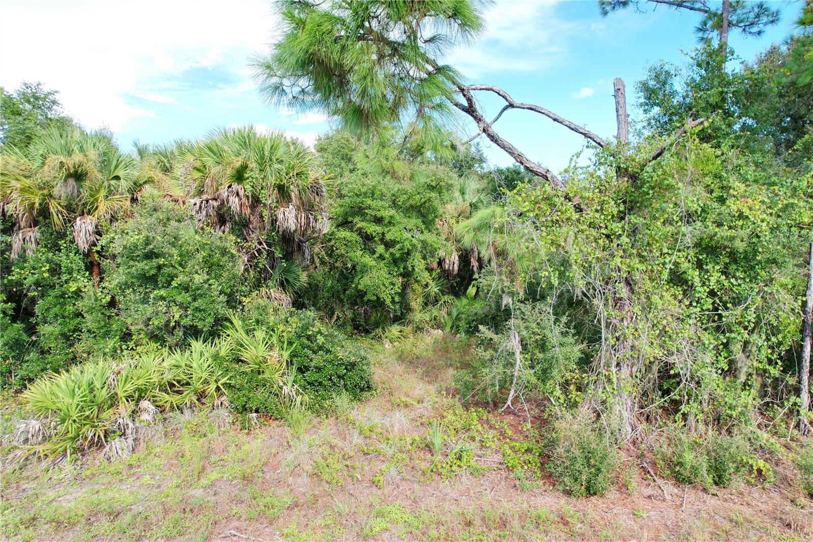 Baynes Rd Property Photo 5