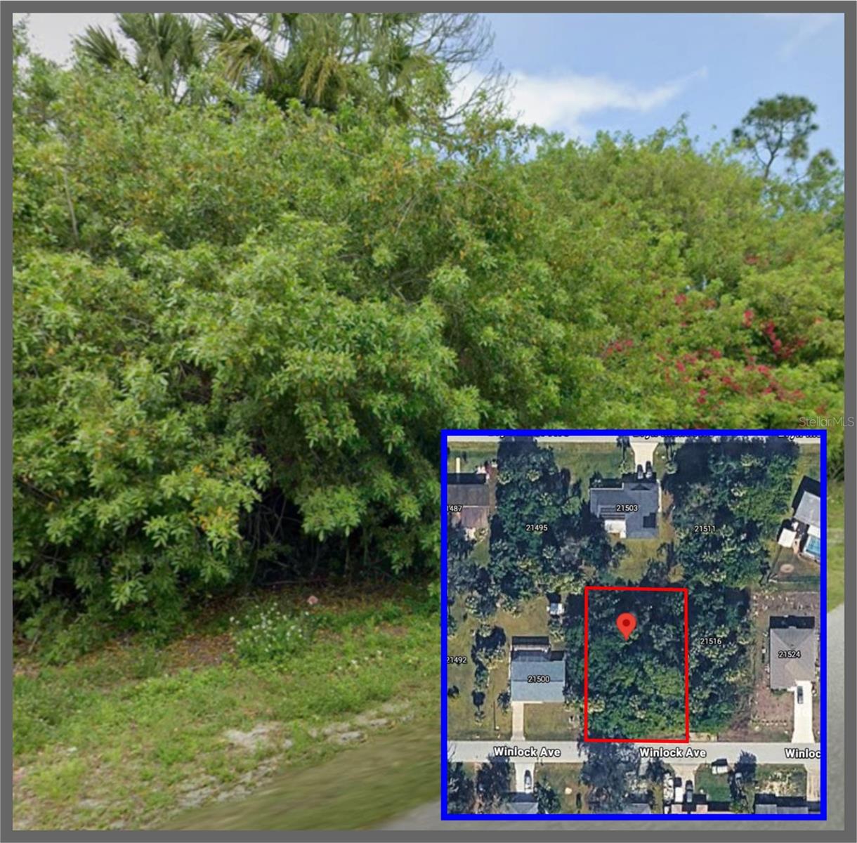 21508 Winlock Ave Property Photo 3