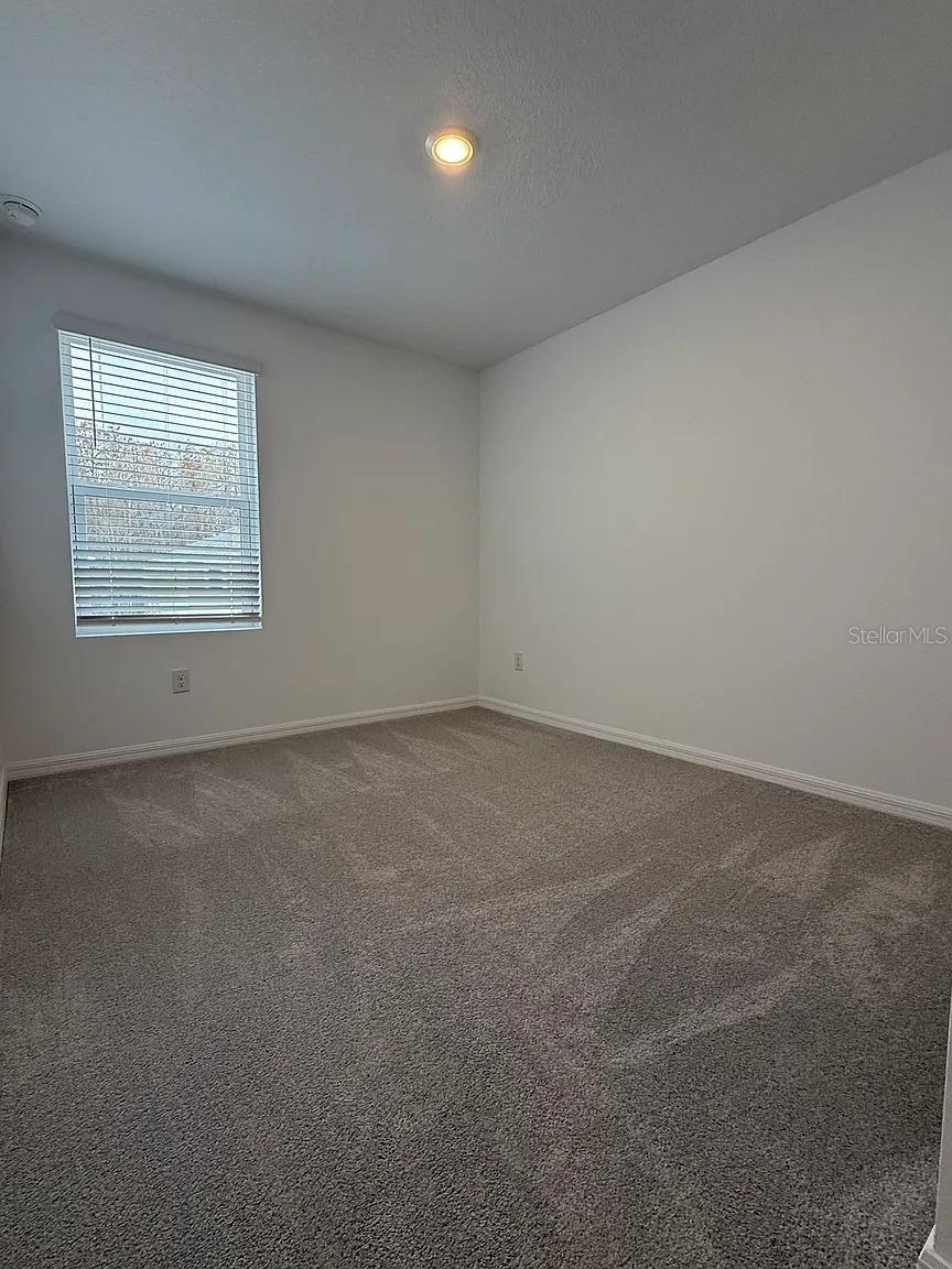 2154 Hallier Cv Property Photo 19