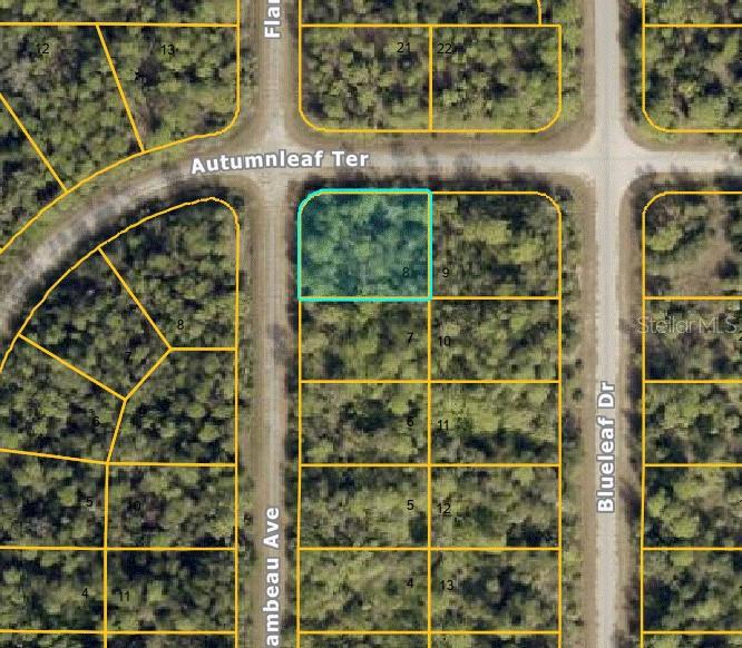 Autumnleaf Ter Property Photo 1