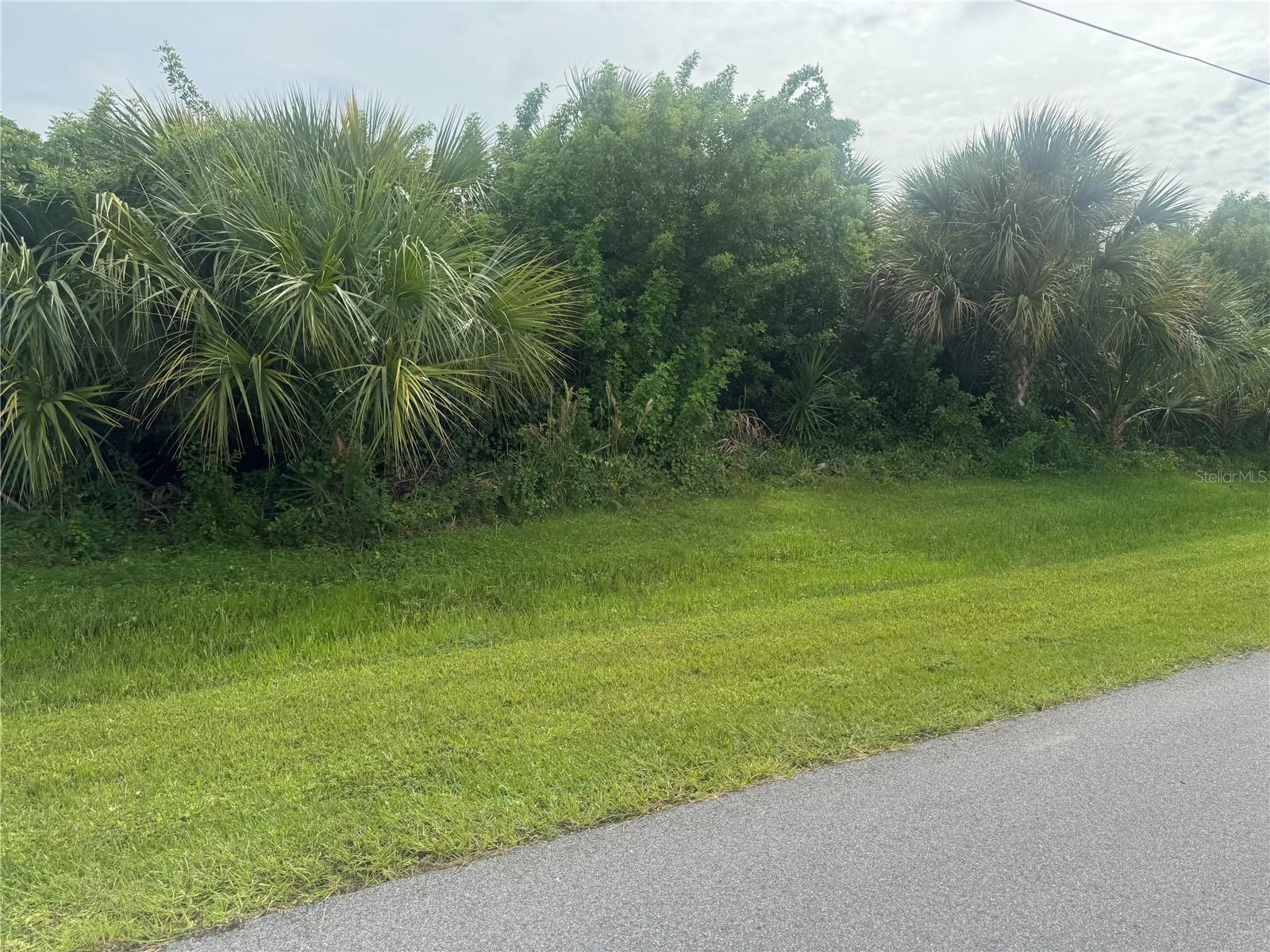 12111 VAN GOUGH AVE Property Photo 1