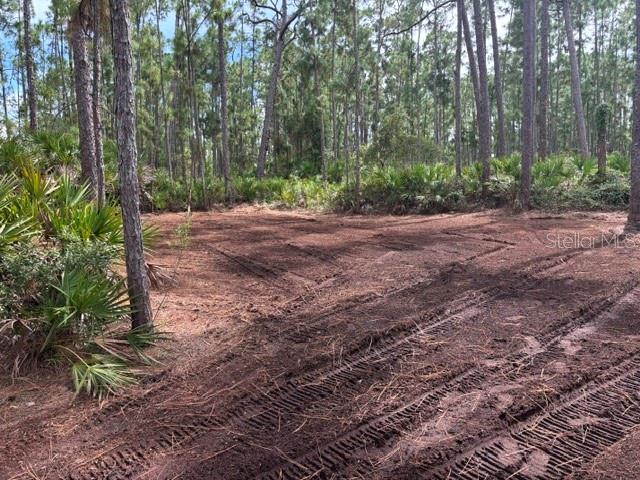 Tropicaire Blvd Property Photo 3