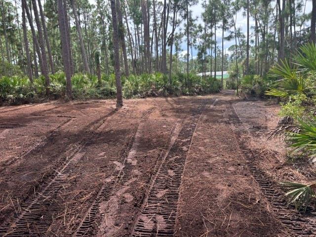 Tropicaire Blvd Property Photo 4