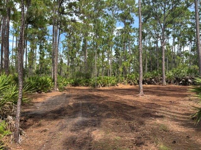Tropicaire Blvd Property Photo 17