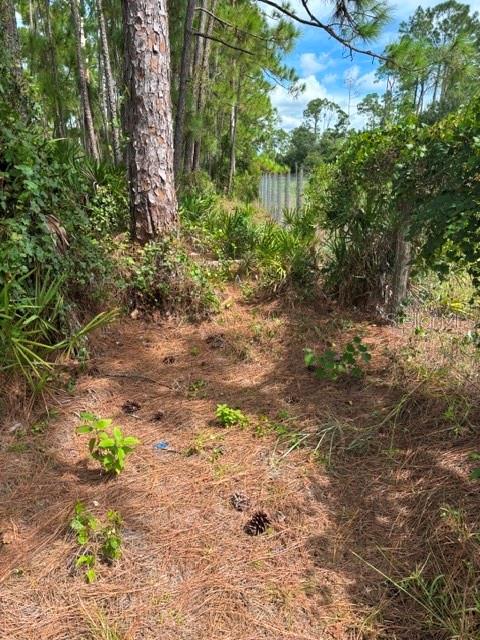 Tropicaire Blvd Property Photo 19