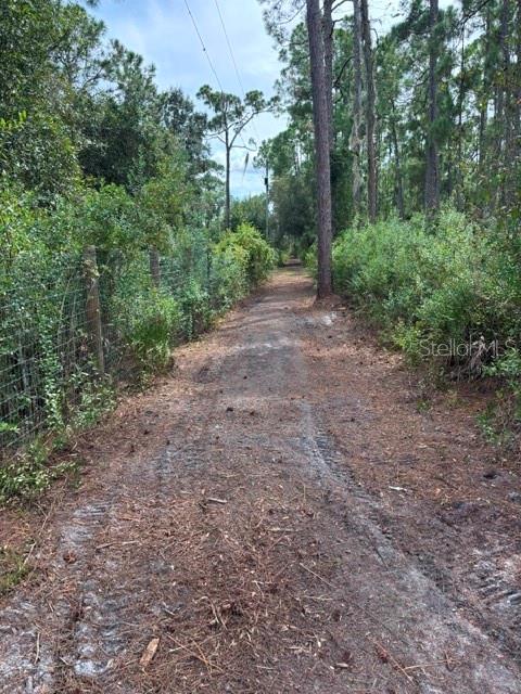 Tropicaire Blvd Property Photo 20