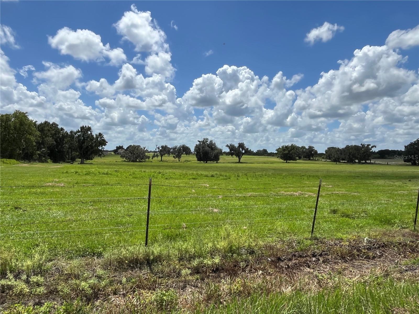 Johns Rd Property Photo 13