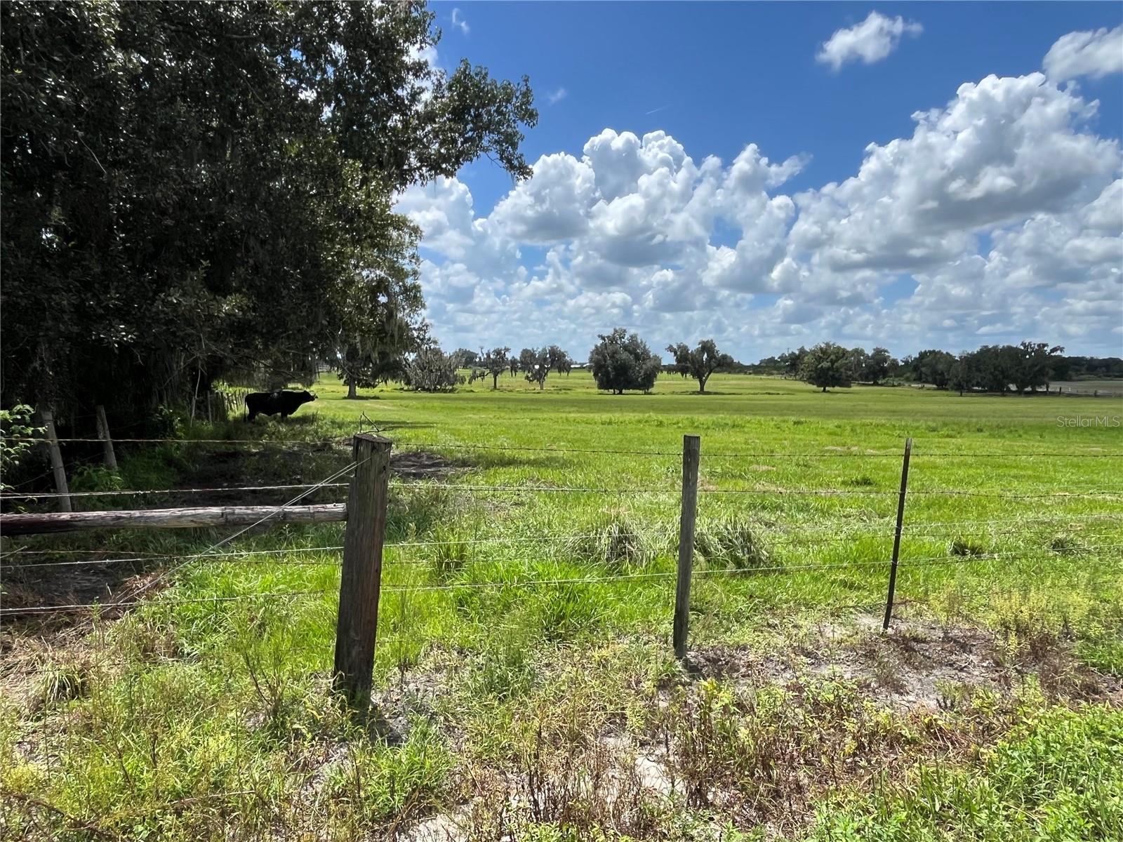 Johns Rd Property Photo 14