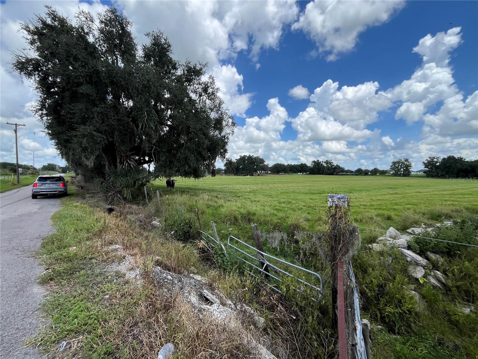 Johns Rd Property Photo 16