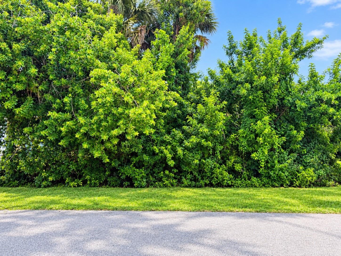 23242 Fawn Ave Property Photo 2