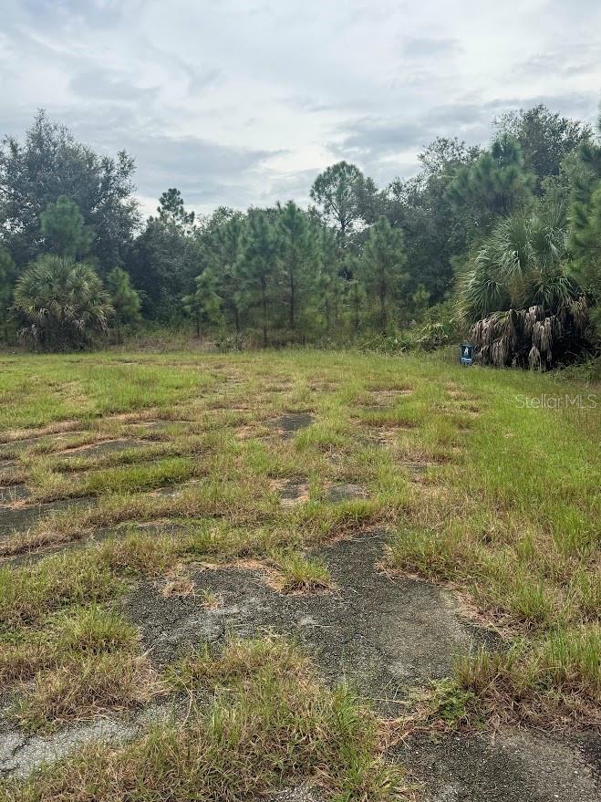 Lot 10 Goff Ct Property Photo 9
