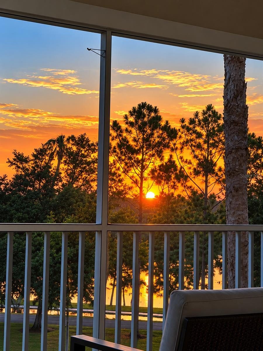 2060 Willow Hammock Cir #301 Property Photo 38