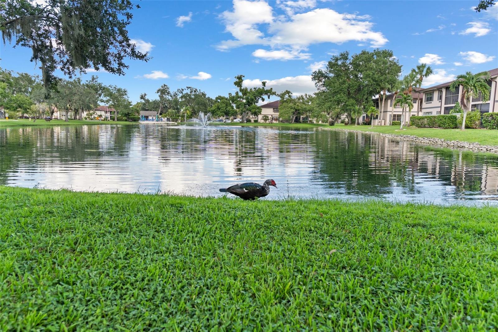 19505 Quesada Ave #h208 Property Photo 36