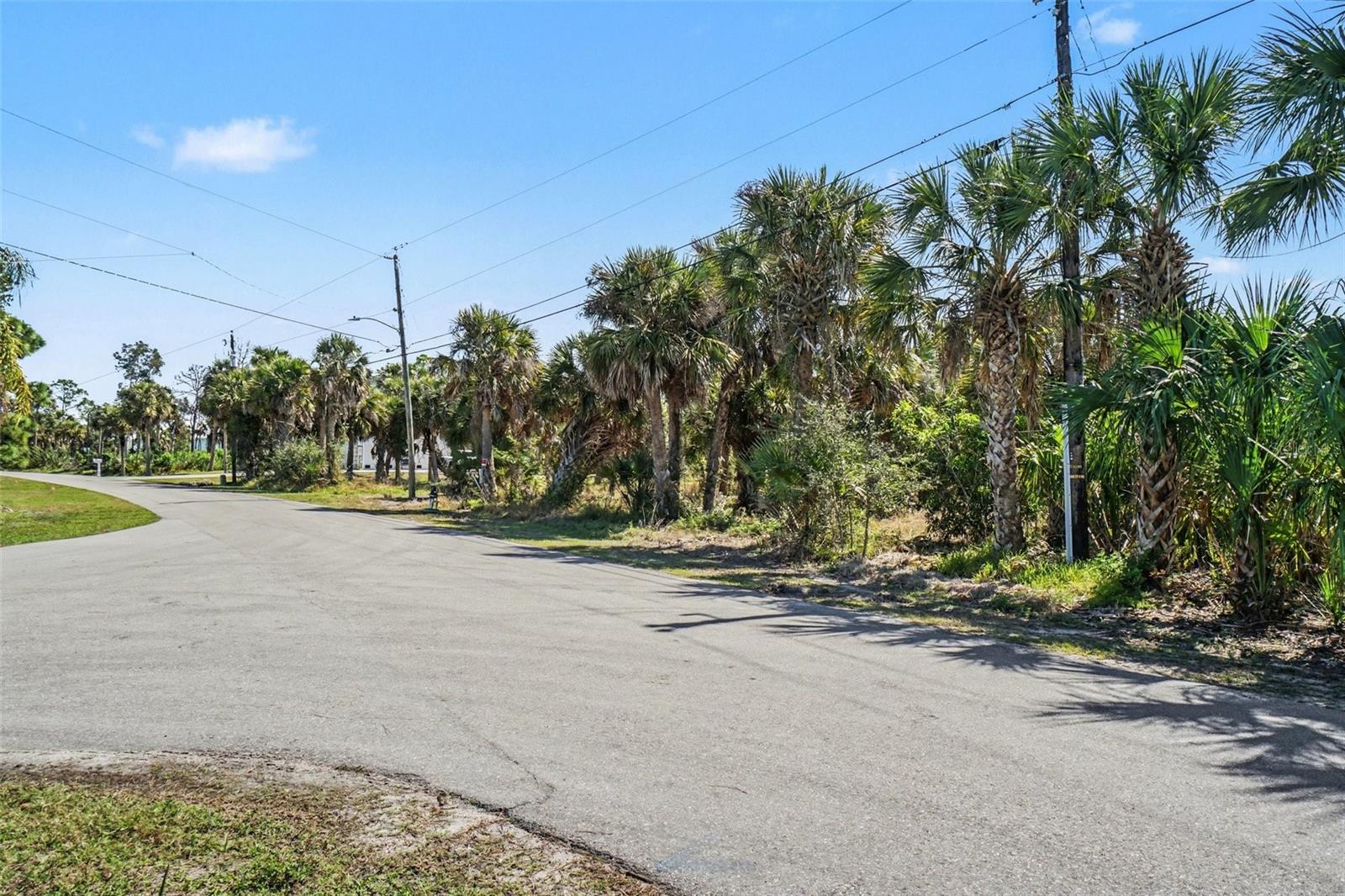 24383 Jean La Fitte Blvd Property Photo 3