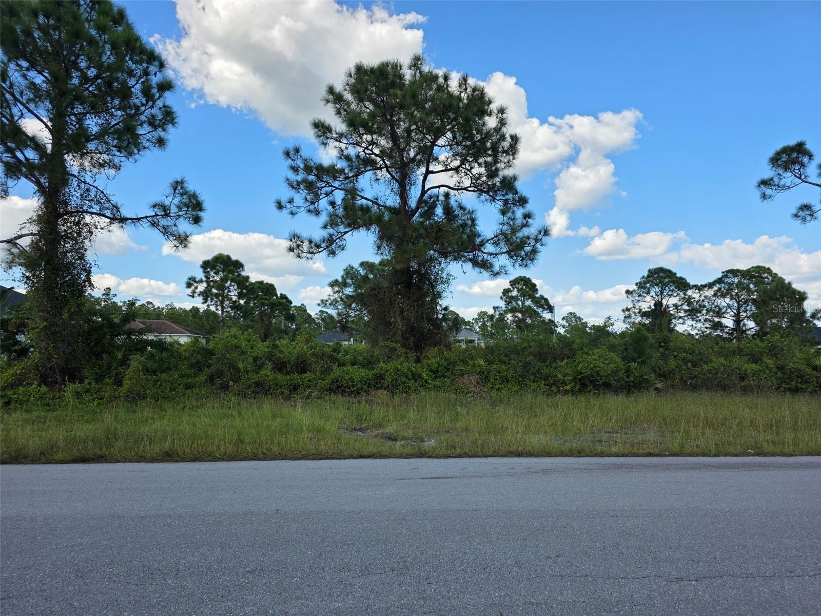 1115 Jaguar Blvd Property Photo