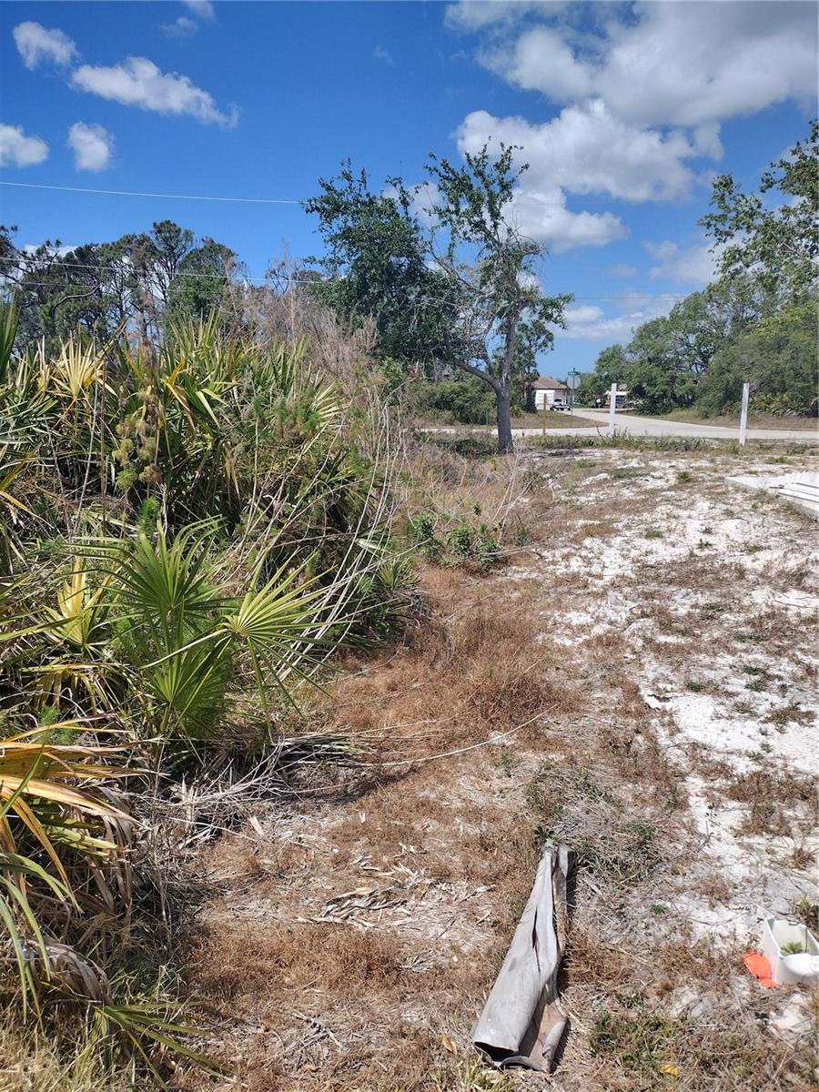 9176 CASEY ST Property Photo 1