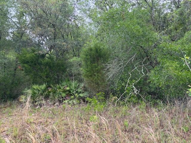 93 N Croft Avenue, Inverness FL 34453 Property Photo 1