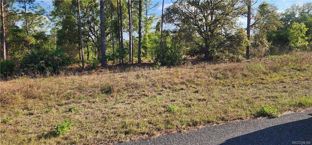 3420 W Hayward LN, CITRUSSPRINGS FL 34433 Property Photo 1