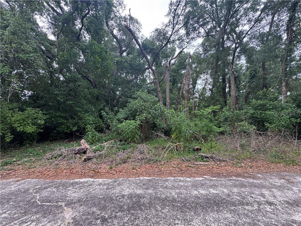 3638 E Lee DR, INVERNESS FL 34453 Property Photo 1