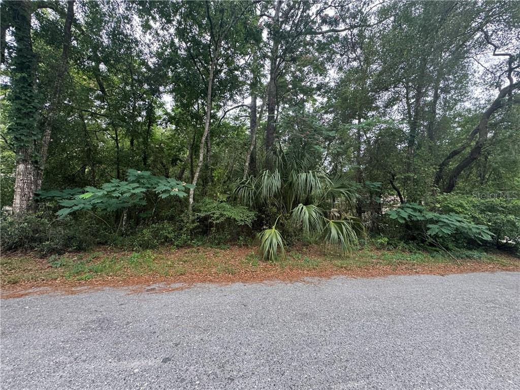 3462 E Michael ST, INVERNESS FL 34453 Property Photo 1